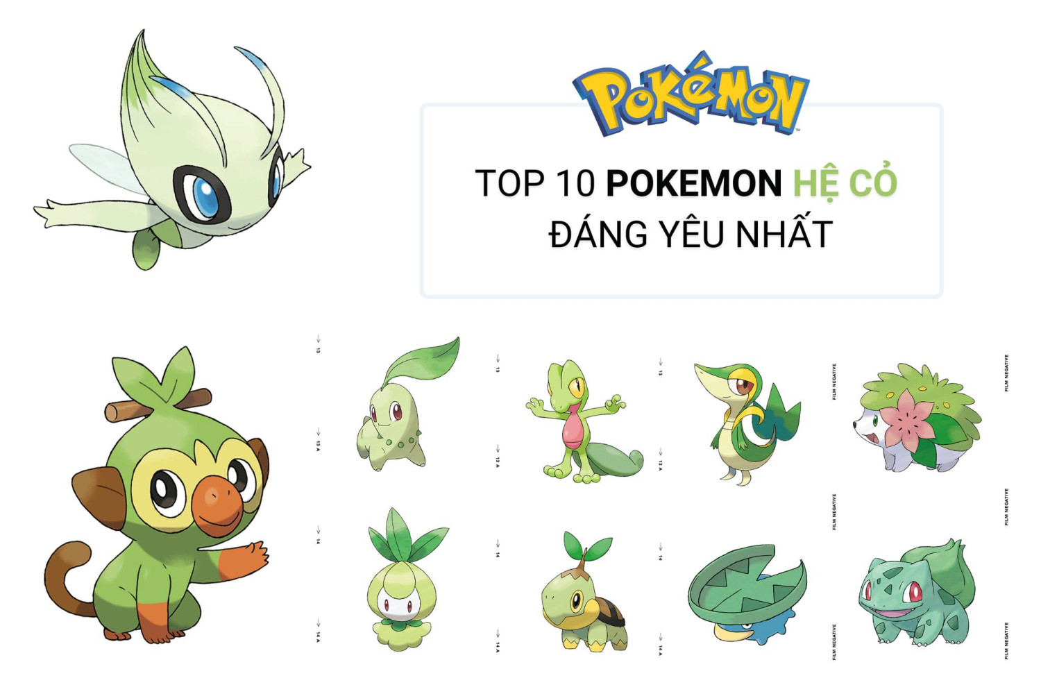 TOP 10 POKEMON HỆ CỎ ĐÁNG YÊU NHẤT